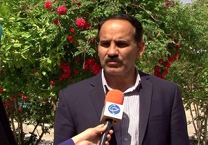 کاهش ۴۰ درصدی تولید پسته دراستان یزد