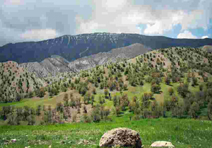 طبیعت زیبا و سرسبز کبیرکوه + فیلم