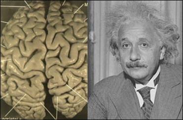 حقایقی مرموز و عجیب که با شنیدن آنها هوش از سرتان می پرد