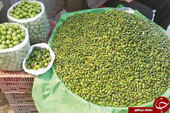 درآمد میلیونی با چرخ&zwnj; دستی&zwnj;های نوبرانه!