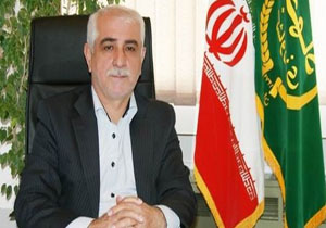مدیرت فروش محصولات باغی با آغاز برداشت میوه‌های تابستانه
