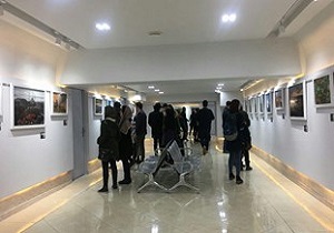 برپایی نمایشگاه عکس خیریه حمایت از بیماران خاص در نگارخانه شهرداری سنندج