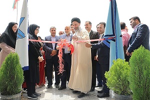 تدوین برنامه‌ برای اشتغال‌زایی در دانشگاه آزاد