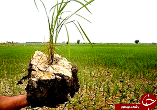 نگاهی گذرا به مهمترین رویداد&zwnj;های دوشنبه ۱۷ اردبیهشت ماه در مازندران