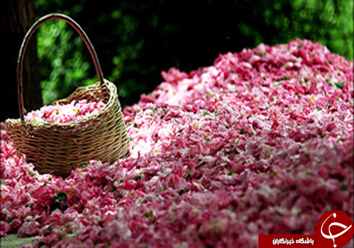 نگاهی گذرا به مهمترین رویداد&zwnj;های دوشنبه ۱۷ اردبیهشت ماه در مازندران