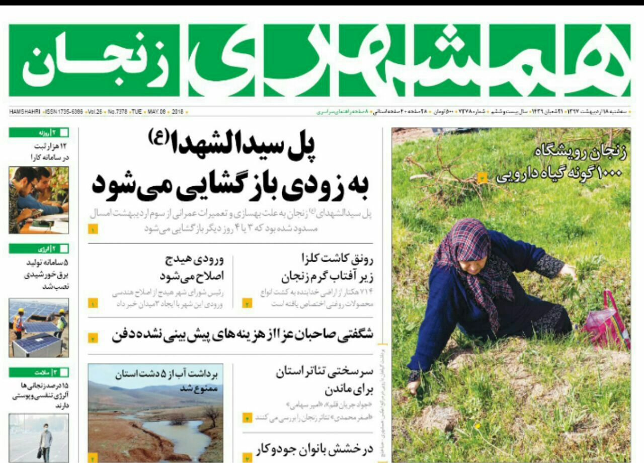 از زنجان رویشگاه 100 نوع گونه گیاه دارویی تا ممنوعیت برداشت آب از 5 دشت استان زنجان