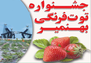 برگزاری دومین جشنواره توت فرنگی در بهنمیر