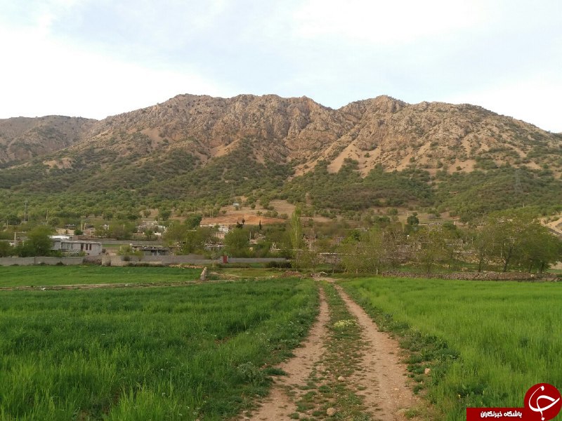 چشم&zwnj;اندازی از طبیعت بهاری در &laquo;گنجه&zwnj;ای کهنه&raquo; + تصاویر