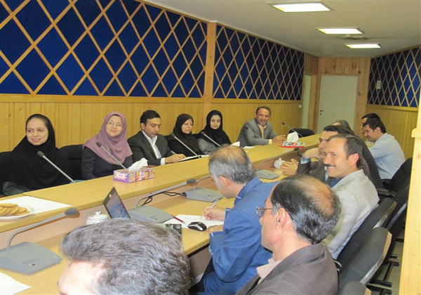 ساماندهی مراكز تكثير و نگهداري گورخر در دستور کار سازمان حفاظت محیط زیست