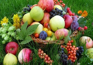 تازگی یک محصول غذایی و میوه را با مادون قرمز بسنجید