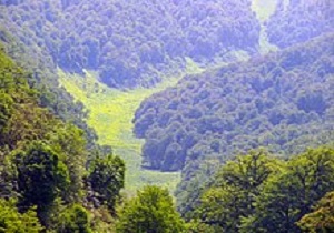اسلام ابادغرب شهرستانی با 70 درصد اراضی جنگلی