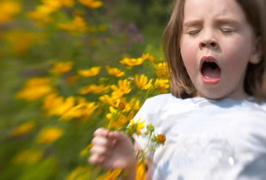 بهترین اسانس ها برای کنترل آلرژی بهاره