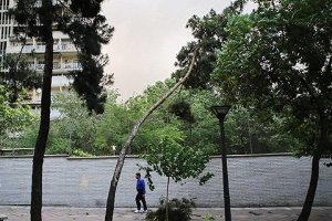 وزش باد گرم شدید در گیلان