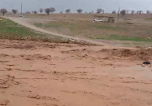گرفتار شدن تراکتور در سیل روستای "پیرجد" + فیلم