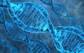 دانشمندان DNA مصنوعی تولید کردند