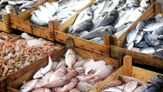 استمرار روند افزایش صادرات محصولات شیلاتی با خروج آمریکا از برجام