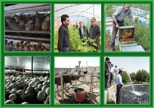 تصویب و ابلاغ 844 طرح اشتغالزایی به بانک های اردبیل