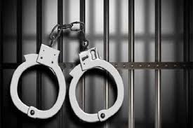 افزایش 8 درصدی کشفیات سرقت در ایلام