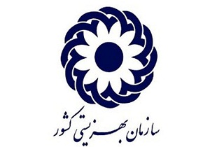 پرداخت بیش از یک میلیارد ریال اعتبار به مددجویان بهزیستی خراسان جنوبی