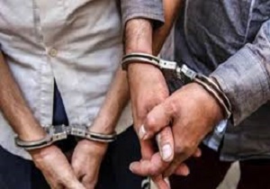 دستگیری دو سارق حرفه‌ای لوازم داخلی خودرو در لواسانات
