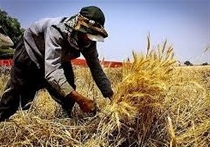 اختصاص 15 میلیارد ریال برای اشتغال روستایی در کشور