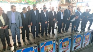 حضور وزیر ارتباطات و فناوری اطلاعات در گلزارشهدای رشت
