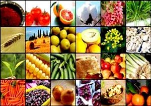 وعده هایی که عملی شدنشان باعث رونق کشاورزی می شود + فیلم