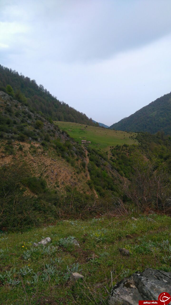 چشماندازی از طبیعت زیبا در رودسر + تصاویر چشماندازی از طبیعت زیبا در رودسر + تصاویر