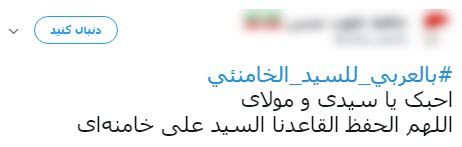 ابراز ارادت کاربران عرب زبان به رهبر انقلاب +تصاویر