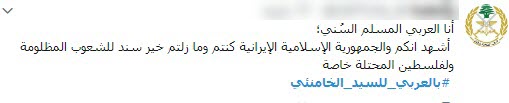 ابراز ارادت کاربران عرب زبان به رهبر انقلاب +تصاویر