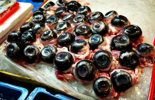با عجیب&zwnj;ترین و متعفن ترین غذاهای محلی در سراسر جهان آشنا شوید