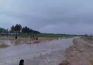 جاری شدن سیلاب در روستای "علی‌آباد" + فیلم