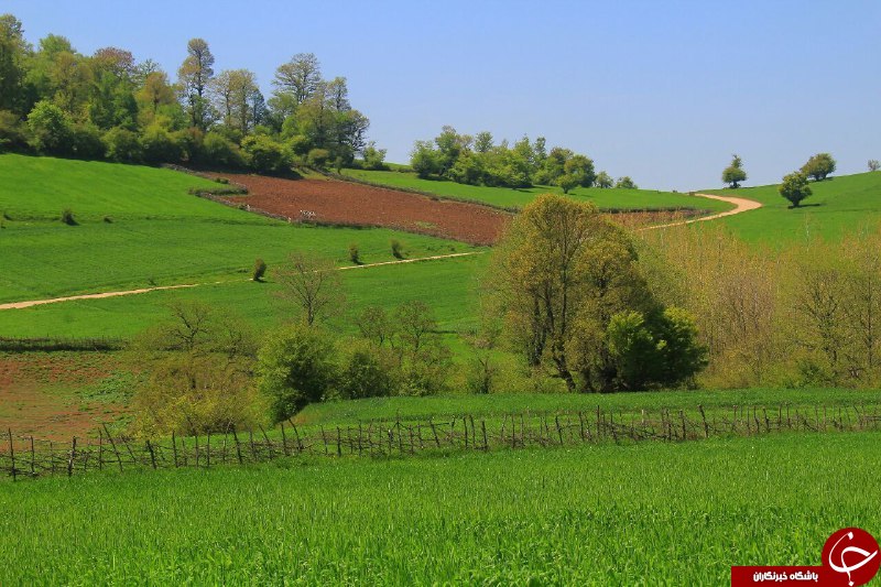 مناظری جذاب و بی&zwnj;نظیر از طبیعت در چهاردانگه + تصاویر