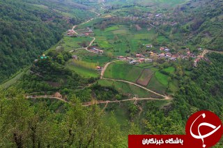 طبیعت جادویی و دل&zwnj;نواز در هزارجریب + تصاویر