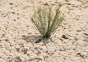 مصرف آب پنج سال آینده در دشت اردبیل
