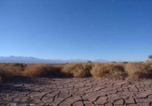 احیای محیط زیست باتغییر واصلاح شیوه های نادرست شهرسازی