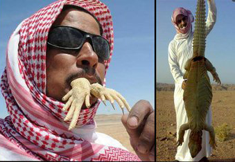 دستگیری مرد سعودی پس از شکار و ضبح ۱۲۰ مارمولک عظیم&zwnj;الجثه! +فیلم