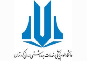 جنگ الکترونیکی و سایبری به اقتصاد کشور ضربه وارد می‌کند