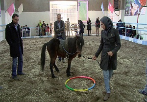 برگزاری نخستین دوره مربیگری درجه 3 سوارکاری در اردبیل