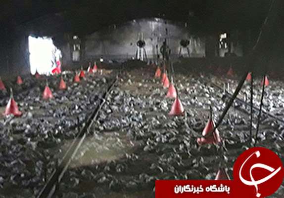 تلف شدن ۱۲ هزار مرغ آماده کشتار در حریق مرغداری