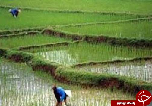 نگاهی گذرا به مهمترین رویداد&zwnj;های دوشنبه ۲۴ اردبیهشت ماه در مازندران