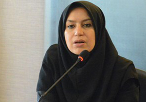 فارس رتبه‌ی نخست صدور مجوز سرمایه‌گذاری خارجی