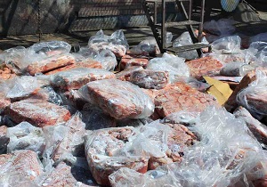 معدوم کردن 390 کیلوگرم گوشت قرمز در بشرویه