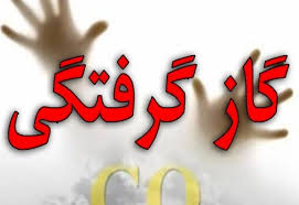 مسمومیت ۷ نفر با گاز منواکسید کربن در یاسوج