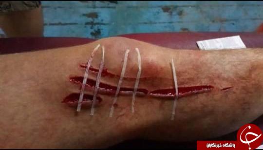 حمله مرگبار کوسه سفید 2 متری به ماهیگیر جوان + فیلم
