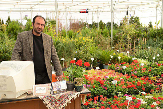 صنعت گل و گیاه جایگزینی مناسب برای درآمدهای نفتی