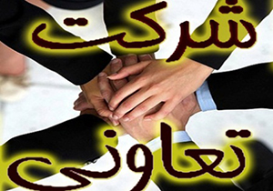 فعالیت بیش از ۵ هزار نفر در شرکت تعاونی‌های زنان روستایی استان فارس