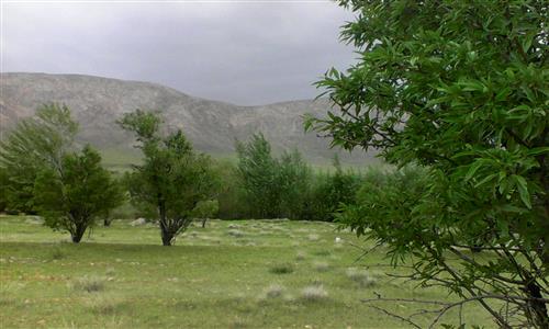 خبر