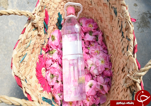 سفر به منطقه گل و گلاب مازندران&nbsp;