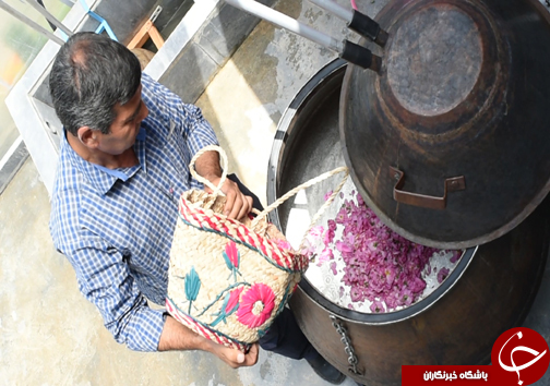 سفر به منطقه گل و گلاب مازندران&nbsp;